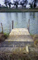 藏品(1950至2006年臺灣常民生活)的圖片