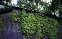 藏品(1950至2006年臺灣常民生活)的圖片