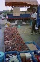 藏品(1950至2006年臺灣常民生活)的圖片