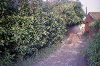 藏品(1950至2006年臺灣常民生活)的圖片