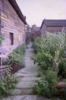 藏品(1950至2006年臺灣常民生活)的圖片