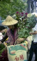 藏品(1950至2006年臺灣常民生活)的圖片