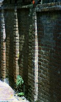 藏品(1950至2006年臺灣常民生活)的圖片