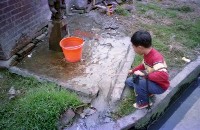 藏品(1950至2006年臺灣常民生活)的圖片