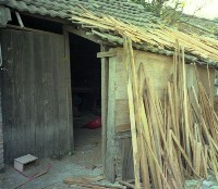 藏品(1950至2006年臺灣常民生活)的圖片