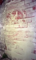藏品(1950至2006年臺灣常民生活)的圖片