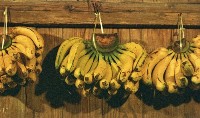 藏品(1950至2006年臺灣常民生活)的圖片