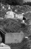 藏品(1950至2006年臺灣常民生活)的圖片