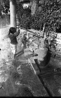 藏品(1950至2006年臺灣常民生活)的圖片