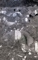 藏品(1950至2006年臺灣常民生活)的圖片