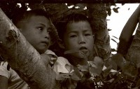藏品(1950至2006年臺灣常民生活)的圖片
