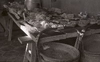 藏品(1950至2006年臺灣常民生活)的圖片