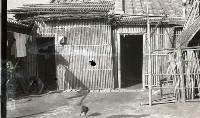 藏品(1950至2006年臺灣常民生活)的圖片