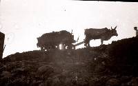 藏品(1950至2006年臺灣常民生活)的圖片