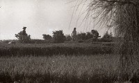藏品(1950至2006年臺灣常民生活)的圖片