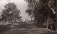 藏品(1950至2006年臺灣常民生活)的圖片