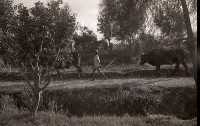 藏品(1950至2006年臺灣常民生活)的圖片