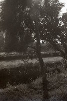 藏品(1950至2006年臺灣常民生活)的圖片