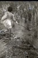 藏品(1950至2006年臺灣常民生活)的圖片