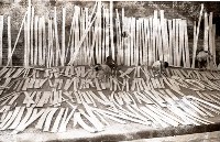 藏品(1950至2006年臺灣常民生活)的圖片