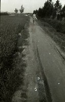 藏品(1950至2006年臺灣常民生活)的圖片