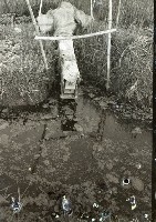 藏品(1950至2006年臺灣常民生活)的圖片