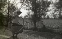 藏品(1950至2006年臺灣常民生活 )的圖片