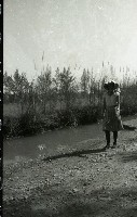 藏品(1950至2006年臺灣常民生活 )的圖片