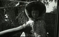 藏品(1950至2006年臺灣常民生活 )的圖片