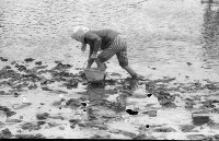 藏品(1950至2006年臺灣常民生活)的圖片