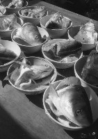 藏品(1950至2006年臺灣常民生活)的圖片