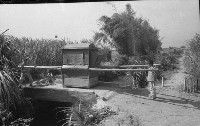 藏品(媒人轎（1950至2006年臺灣常民生活）)的圖片