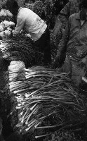 藏品(1950至2006年臺灣常民生活)的圖片