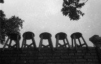 藏品(1950至2006年臺灣常民生活)的圖片