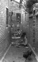 藏品(1950至2006年臺灣常民生活)的圖片