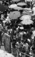 藏品(1950至2006年臺灣常民生活)的圖片