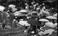 藏品(1950至2006年臺灣常民生活)的圖片