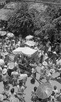 藏品(媽祖遶境進香（1950至2006年臺灣常民生活）)的圖片