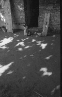 藏品(1950至2006年臺灣常民生活)的圖片