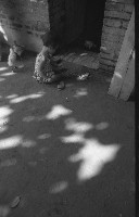 藏品(1950至2006年臺灣常民生活)的圖片