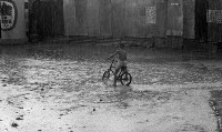 藏品(1950至2006年臺灣常民生活)的圖片