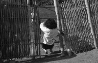 藏品(1950至2006年臺灣常民生活)的圖片