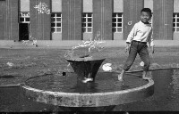 藏品(1950至2006年臺灣常民生活)的圖片