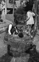 藏品(爬進廢輪胎玩耍（1950至2006年臺灣常民生活）)的圖片