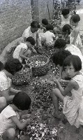 藏品(1950至2006年臺灣常民生活)的圖片