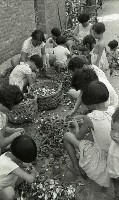 藏品(剖蚵（1950至2006年臺灣常民生活）)的圖片