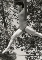 藏品(1950至2006年臺灣常民生活)的圖片