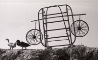 藏品(1950至2006年臺灣常民生活)的圖片