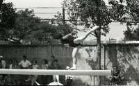藏品(1950至2006年臺灣常民生活)的圖片