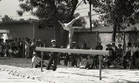 藏品(1950至2006年臺灣常民生活)的圖片